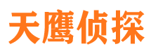 连云侦探公司